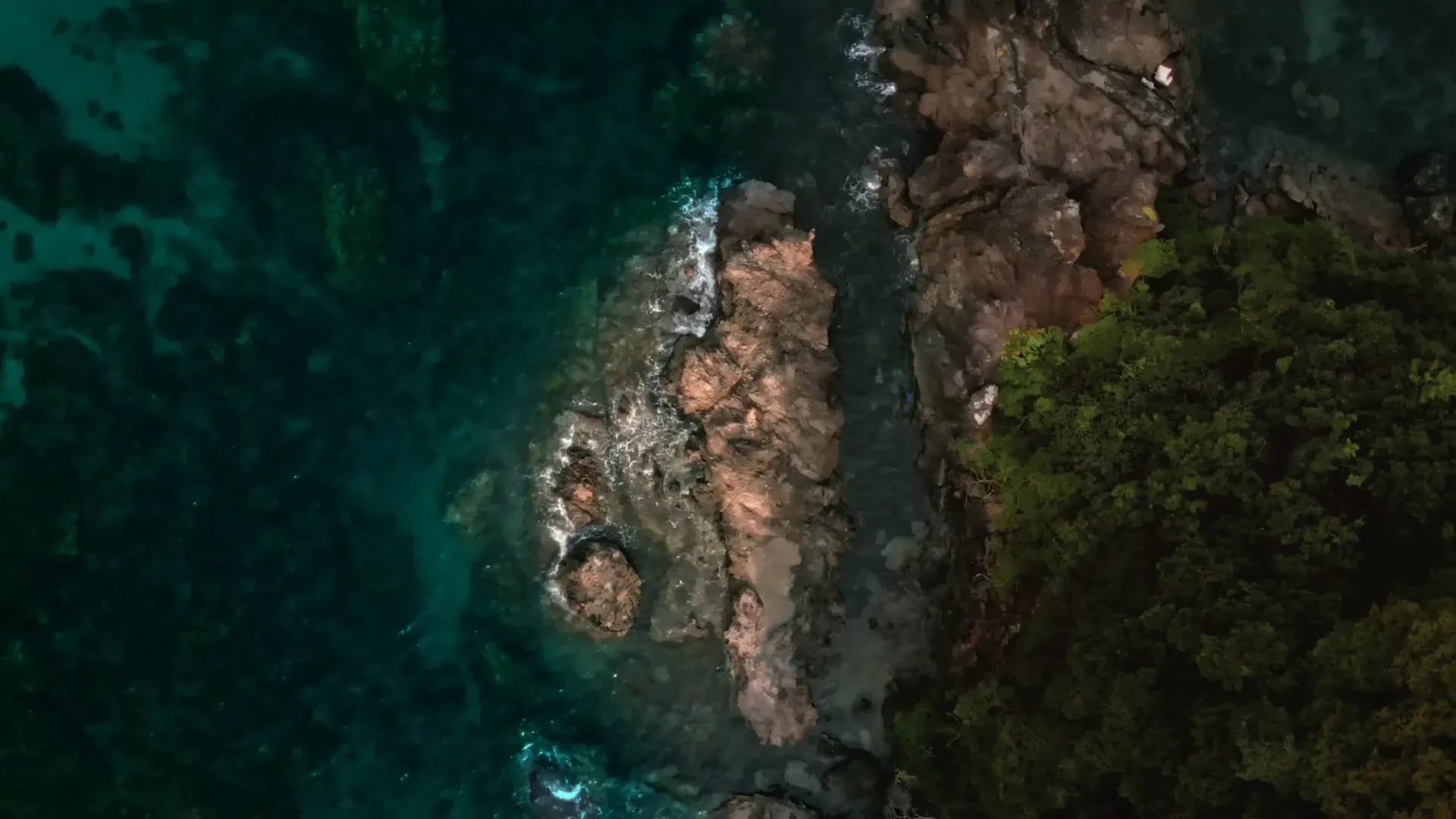 Kaine dot Co - Circulate feat. 釈迦坊主, Dogwoods - Image 2