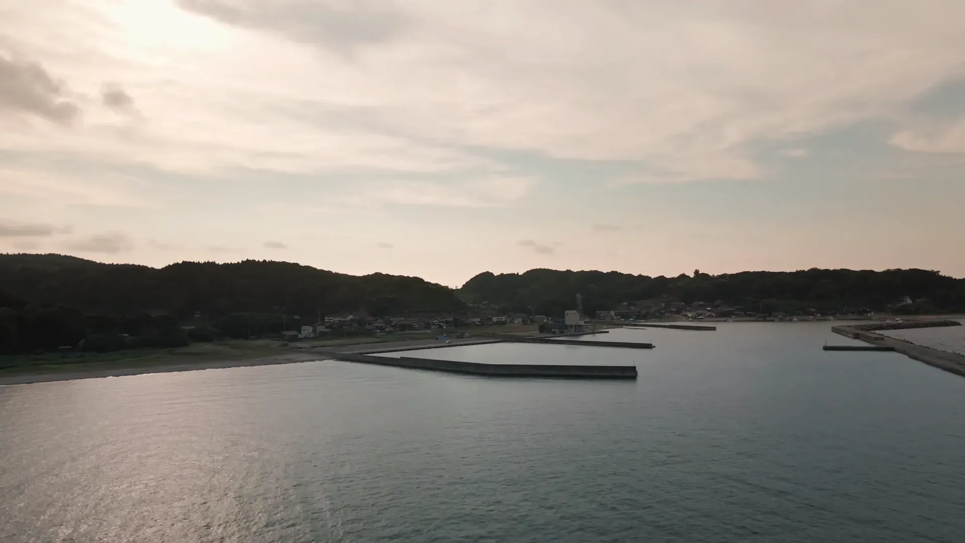 Kaine dot Co - Circulate feat. 釈迦坊主, Dogwoods - Image 3