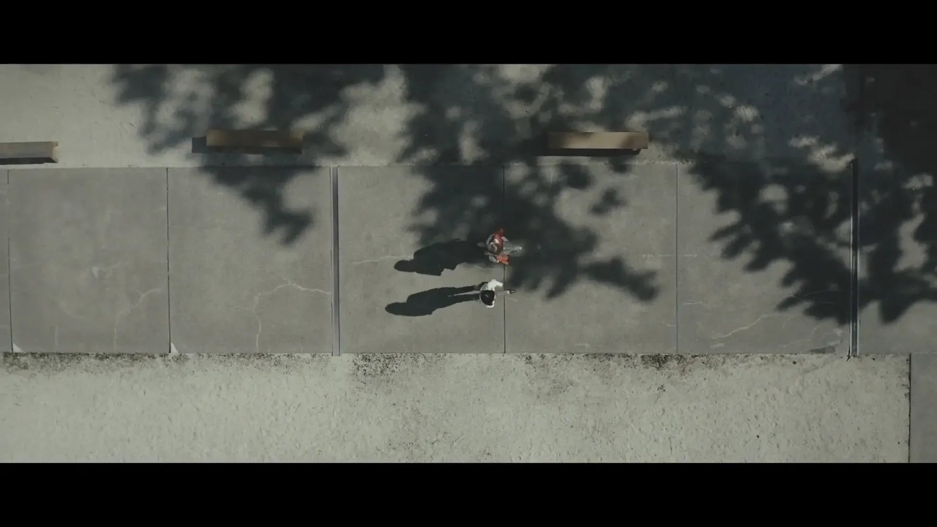 専修寺PV - Image 4