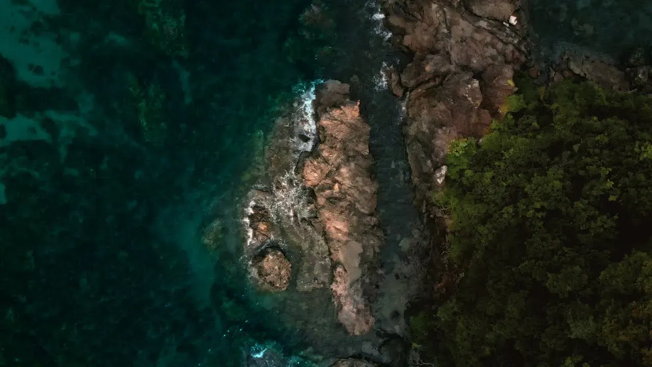 Kaine dot Co - Circulate feat. 釈迦坊主, Dogwoods